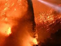 九游app下载-亚马逊雨林火灾情势严峻，多国志愿者投入灭火救灾的简单介绍