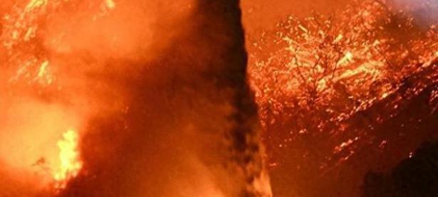 九游app下载-亚马逊雨林火灾情势严峻，多国志愿者投入灭火救灾的简单介绍